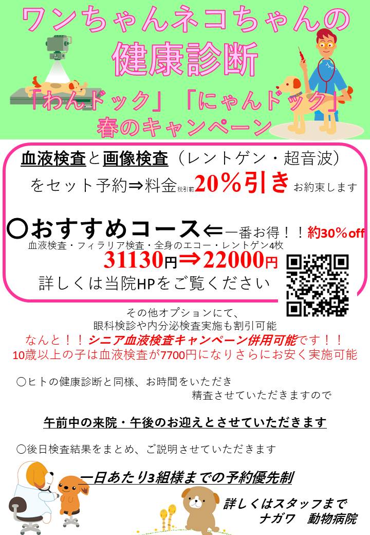 最新情報 - 【公式】練馬区の動物病院ならナガワ動物病院 | 夜20時まで診療