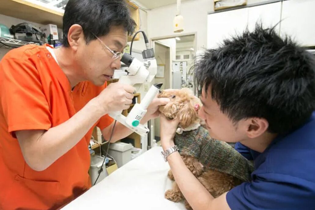 飼い主さまへのお願い